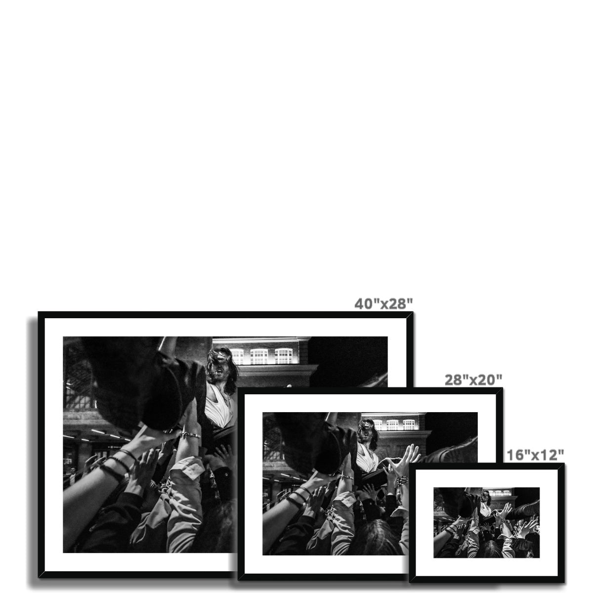 The Gulls Framed & Mounted Print