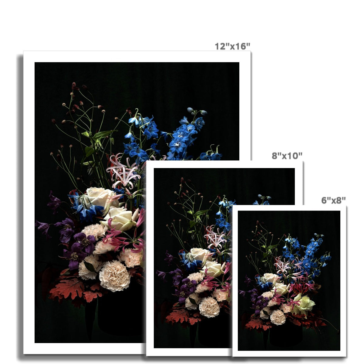 al.showspace C-Type Print