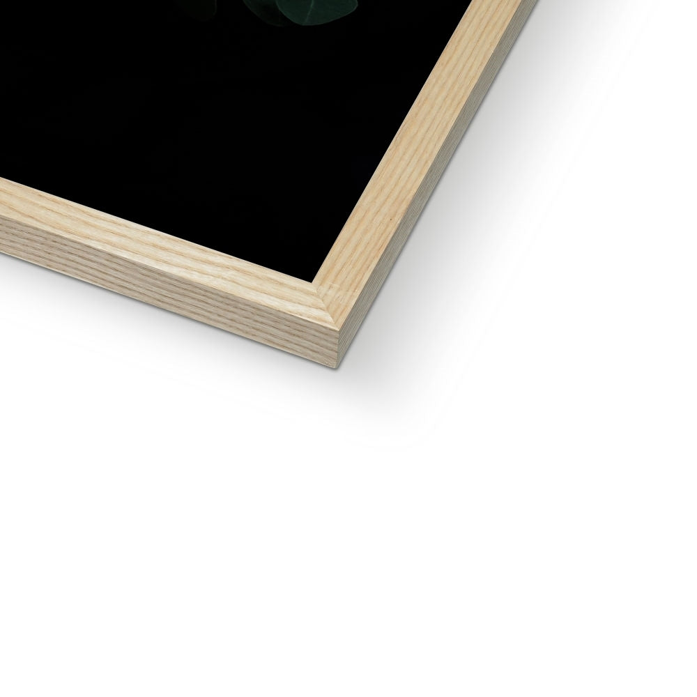 al.showspace Framed Print