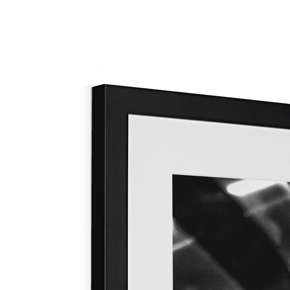 The Gulls Framed & Mounted Print