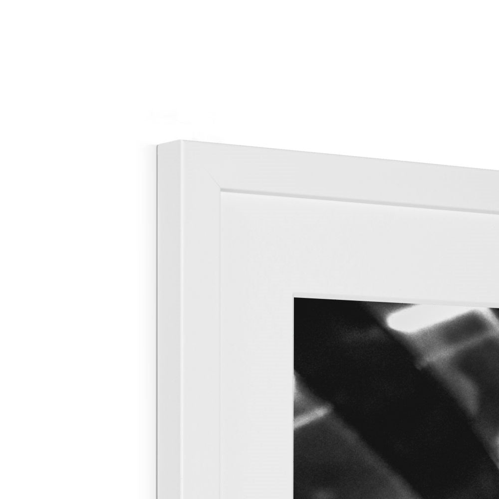 The Gulls Framed & Mounted Print