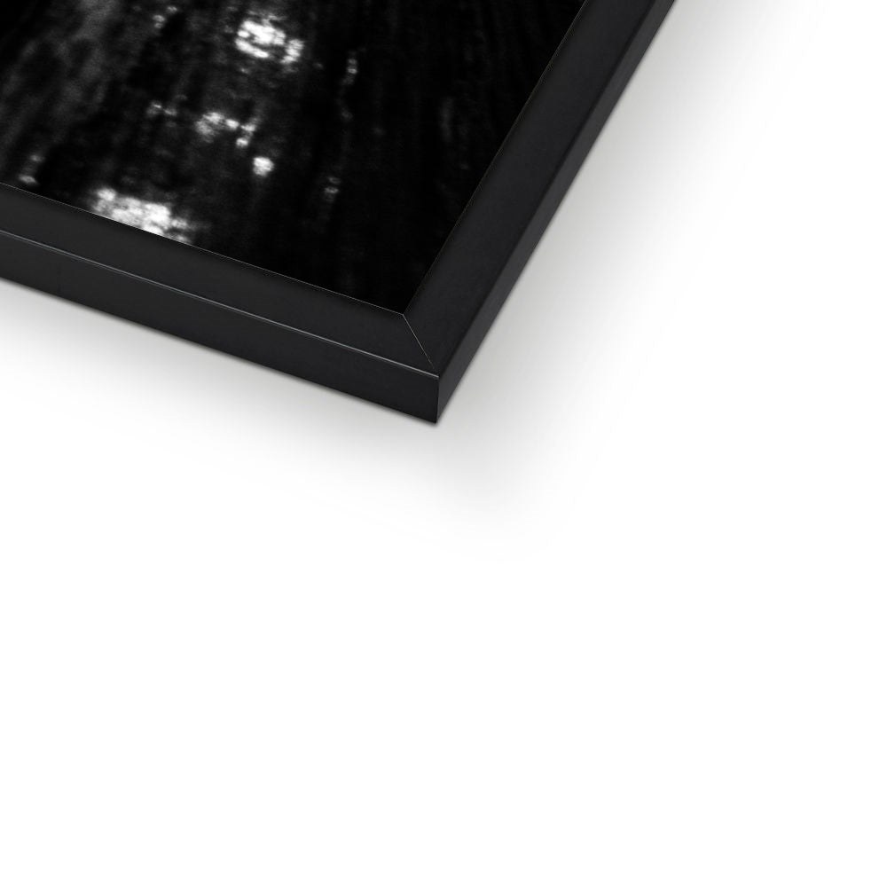 Rosewood —  Framed Print