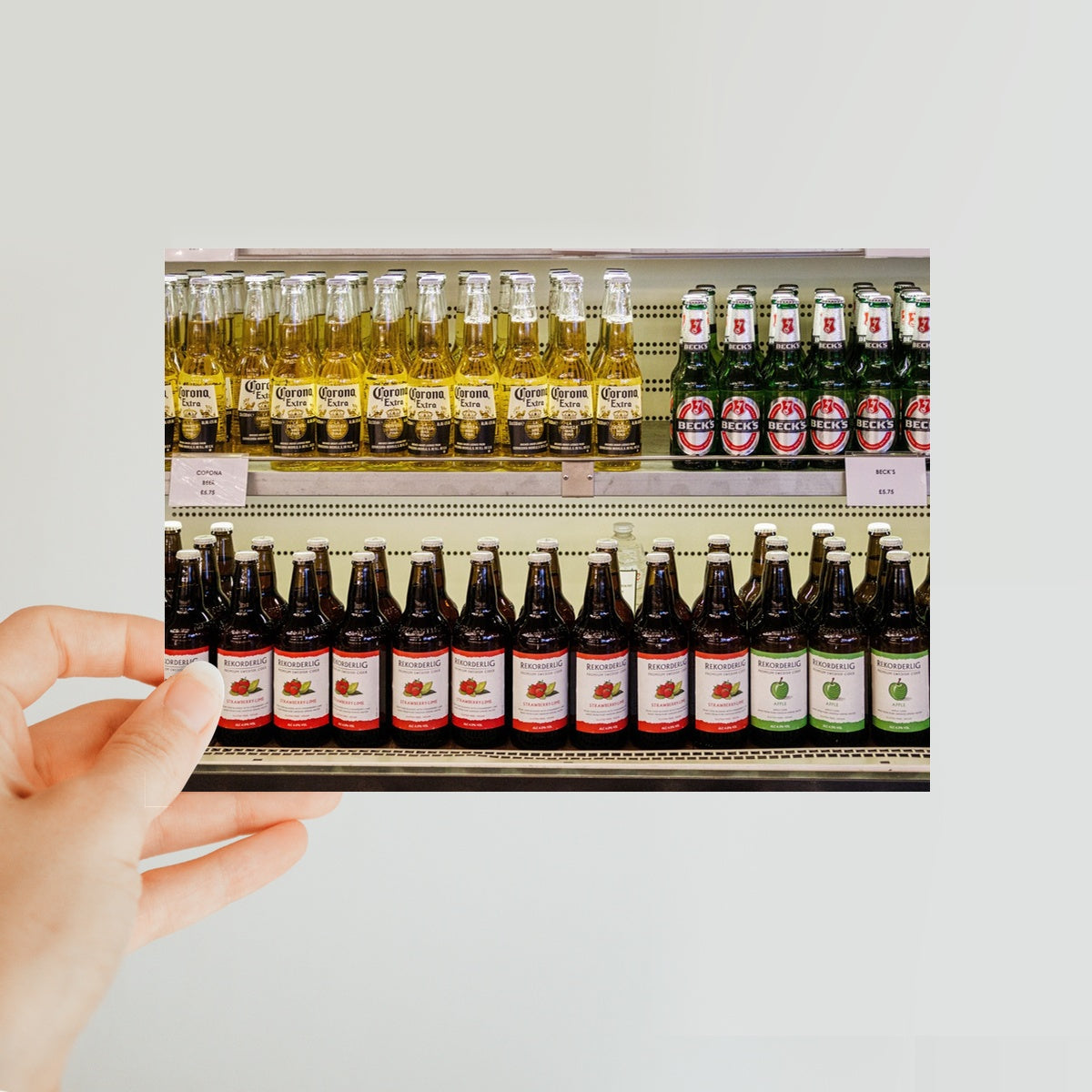 Shelves —  Classic Postcard