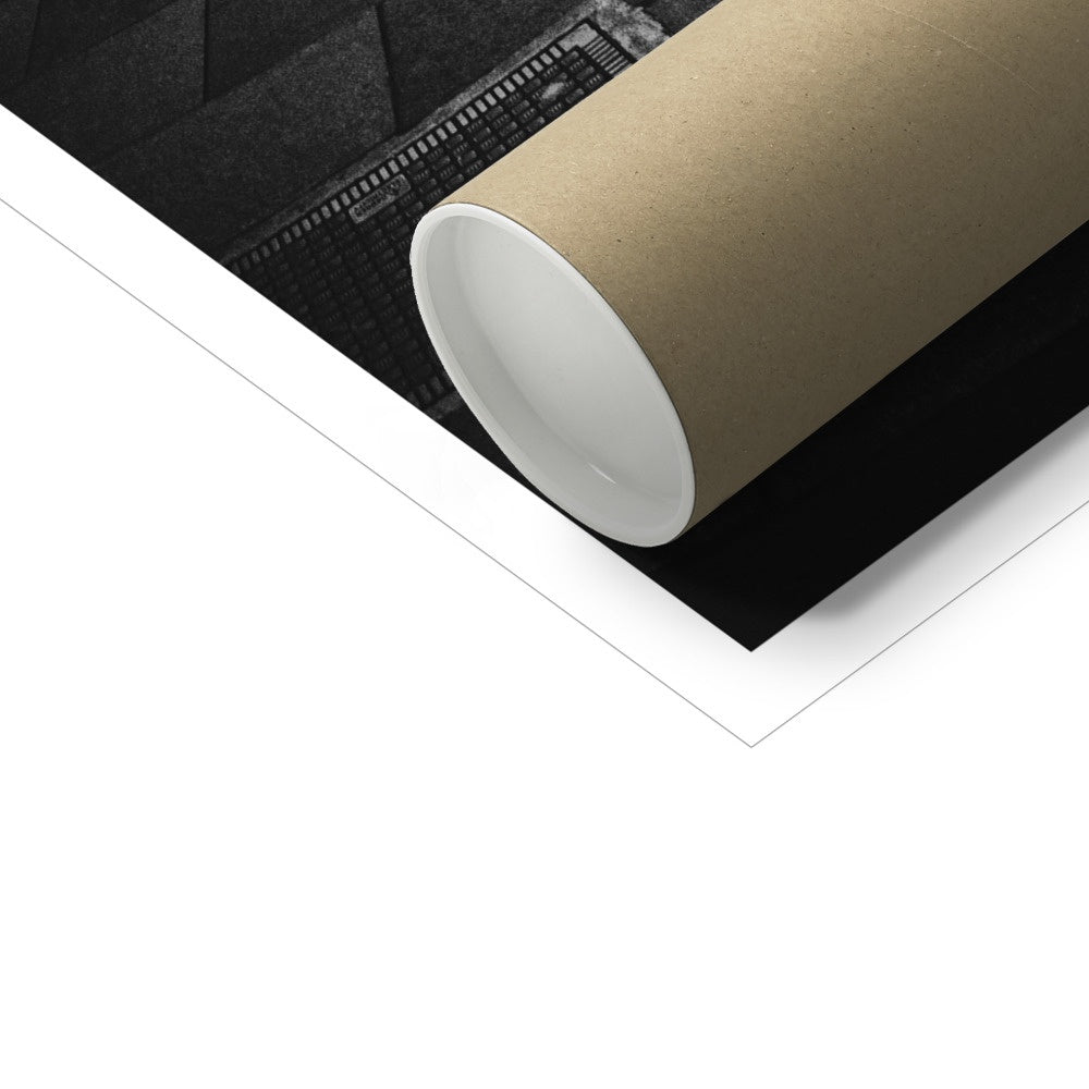 Bosideng —  Fine Art Print