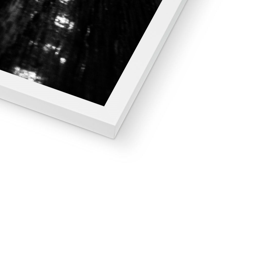 Rosewood —  Framed Print