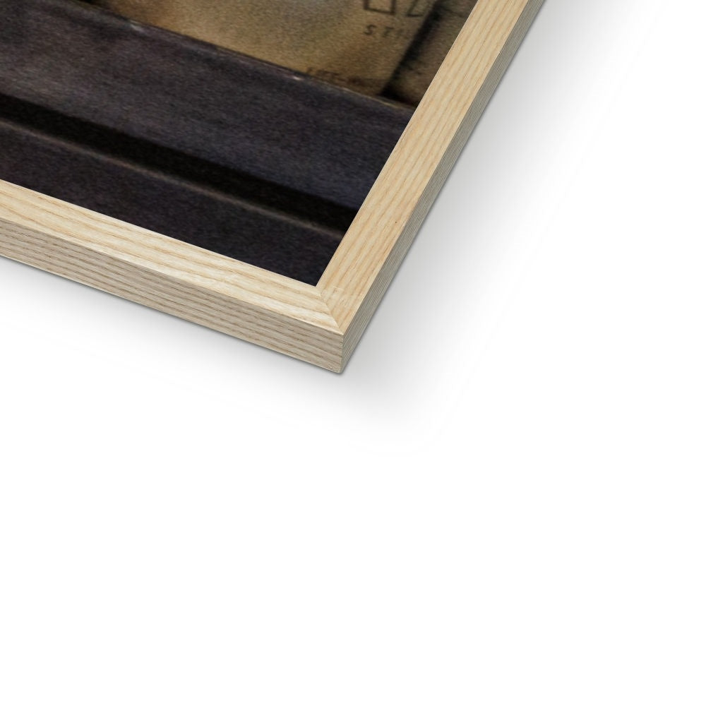 Shelves —  Framed Print