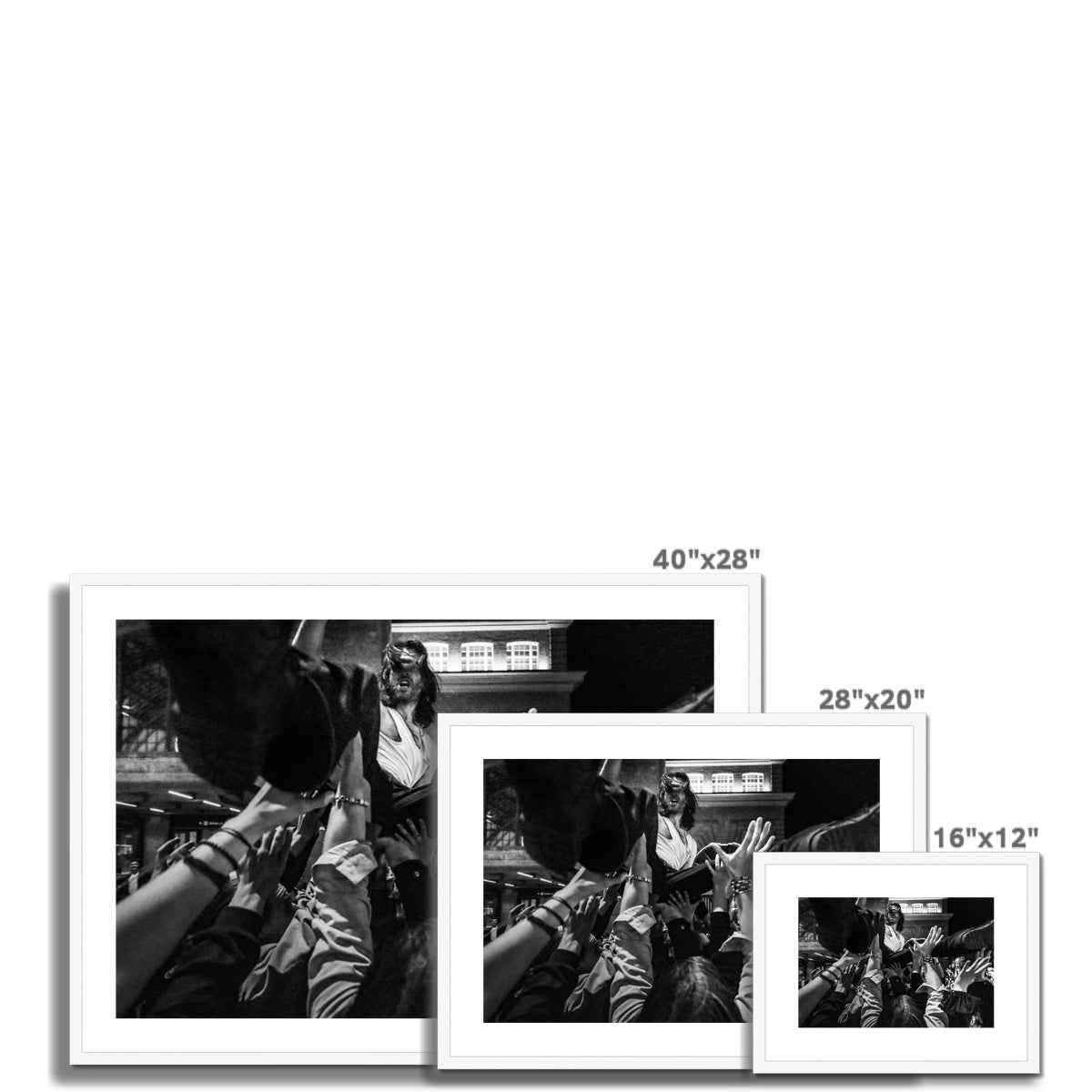 The Gulls Framed & Mounted Print