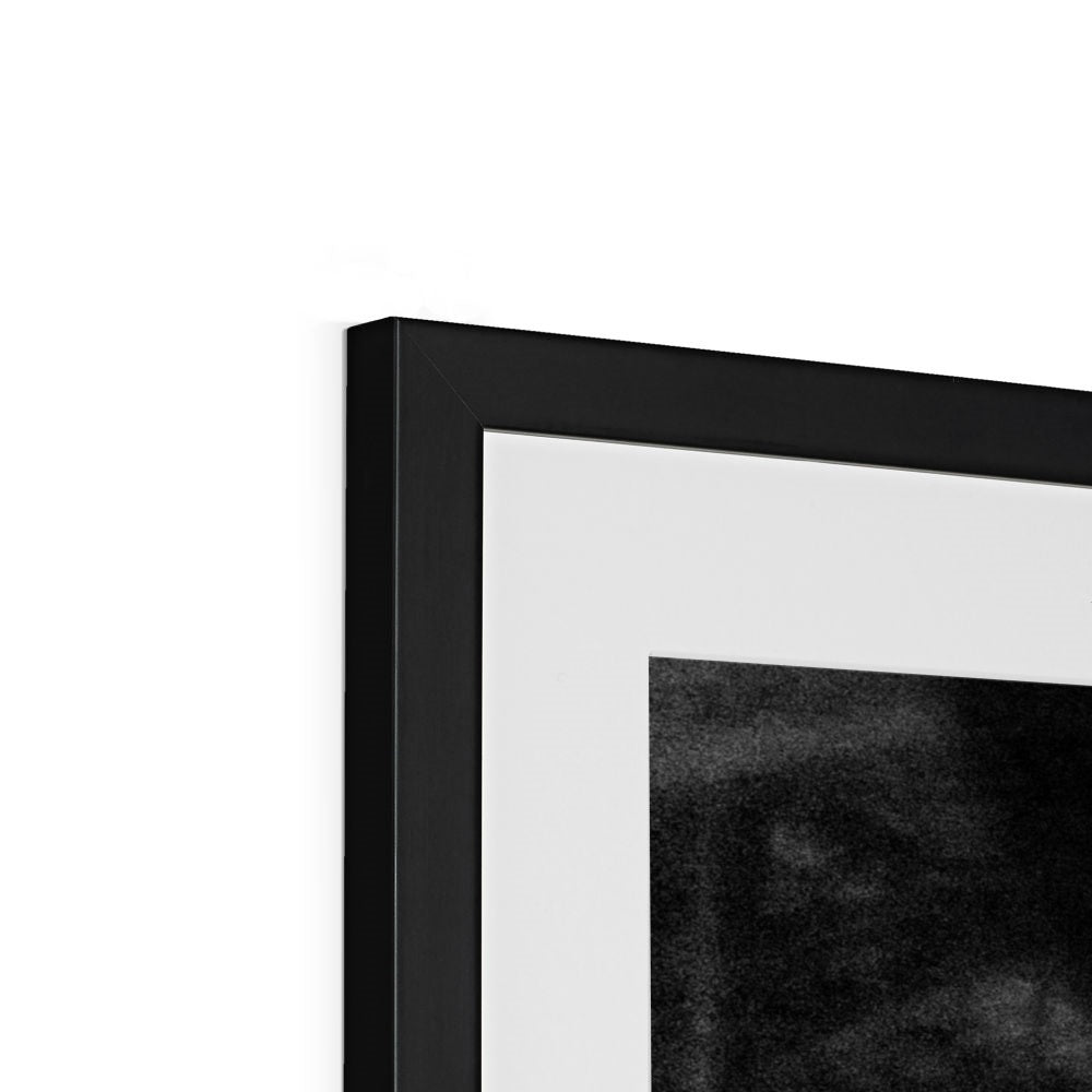 The Gulls Framed & Mounted Print