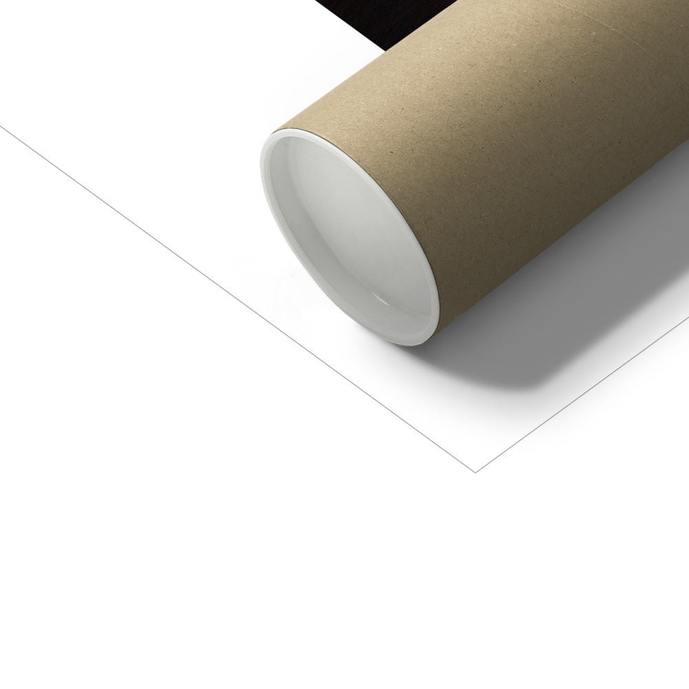 ARSENAL —  C-Type Print