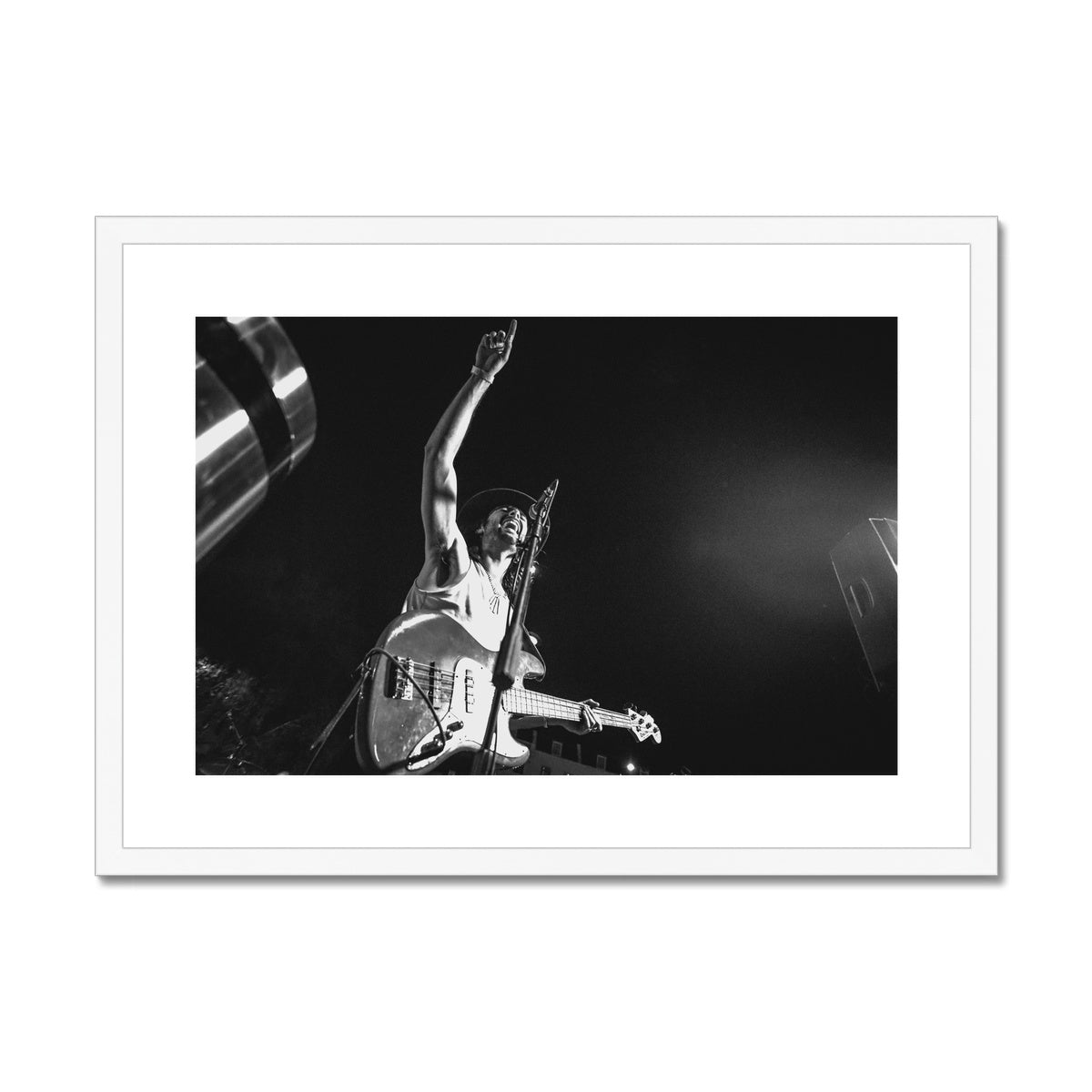 The Gulls Framed & Mounted Print