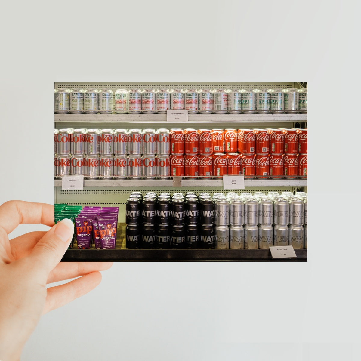 Shelves —  Classic Postcard