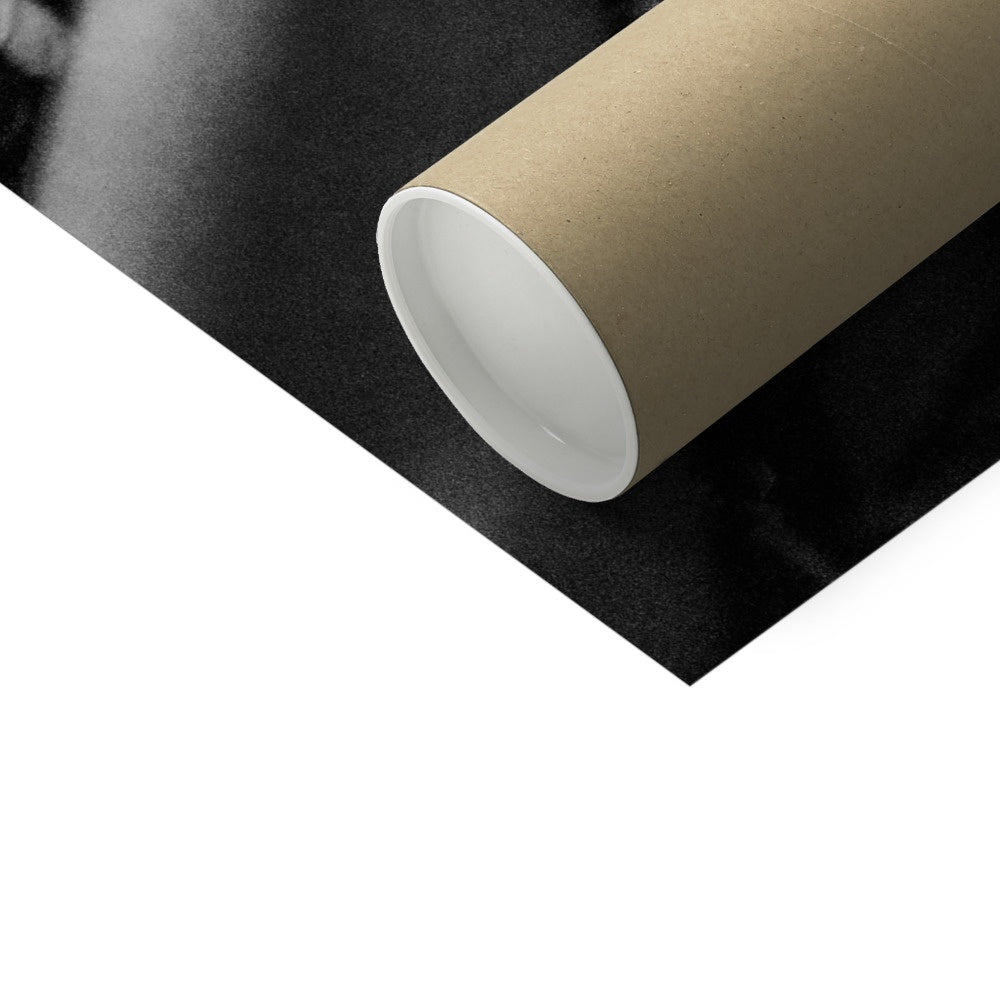 The Gulls Fine Art Print