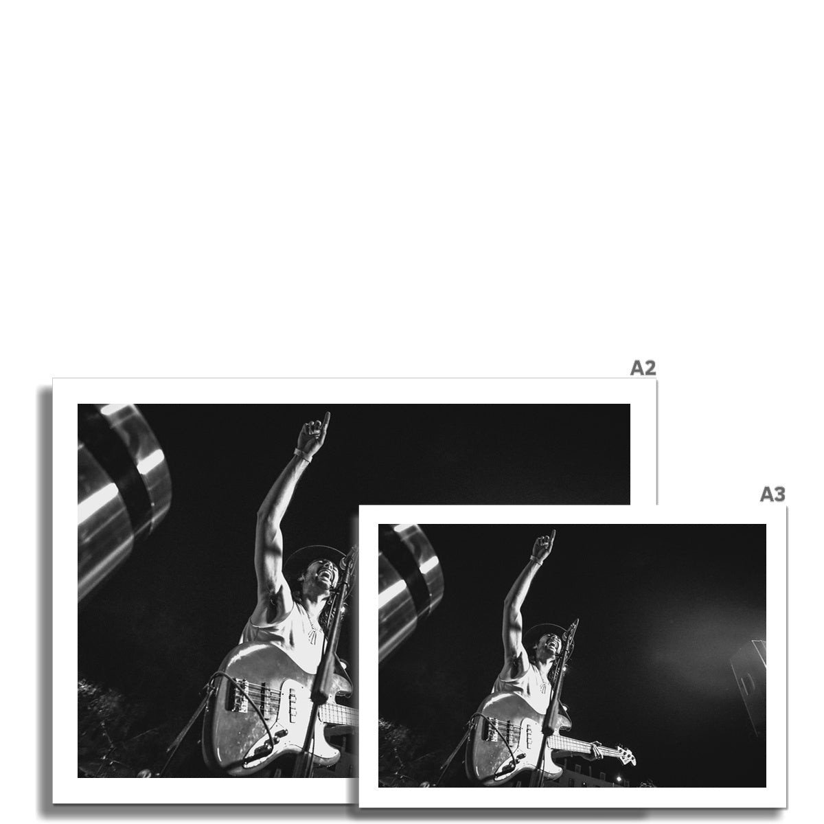 The Gulls Fine Art Print