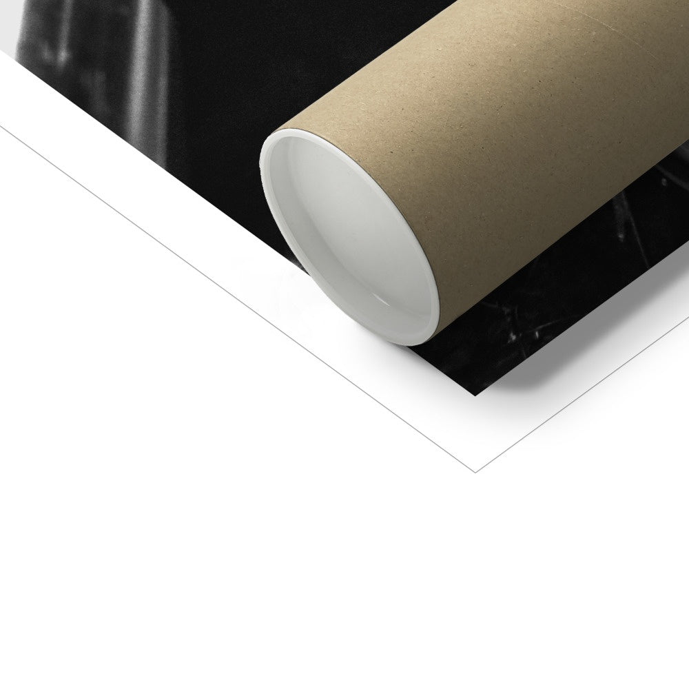 The Gulls Fine Art Print