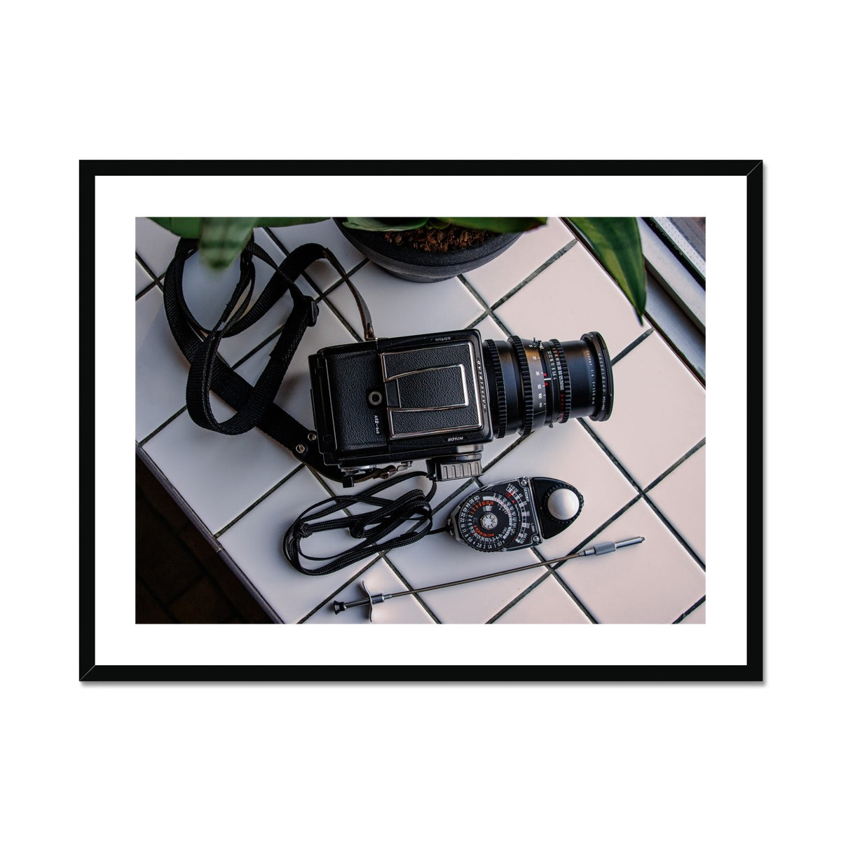 Barbican —  Framed & Mounted Print