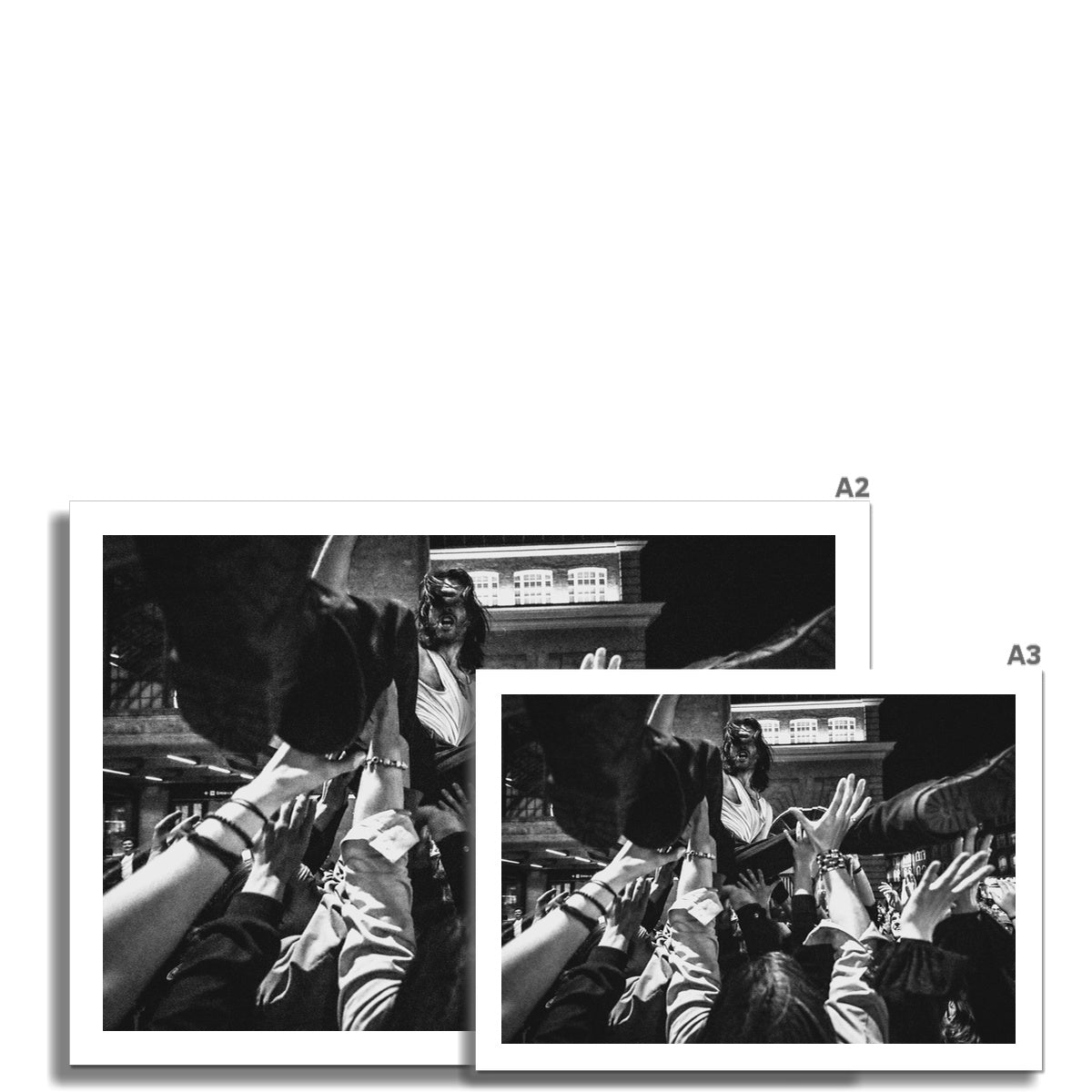 The Gulls Fine Art Print