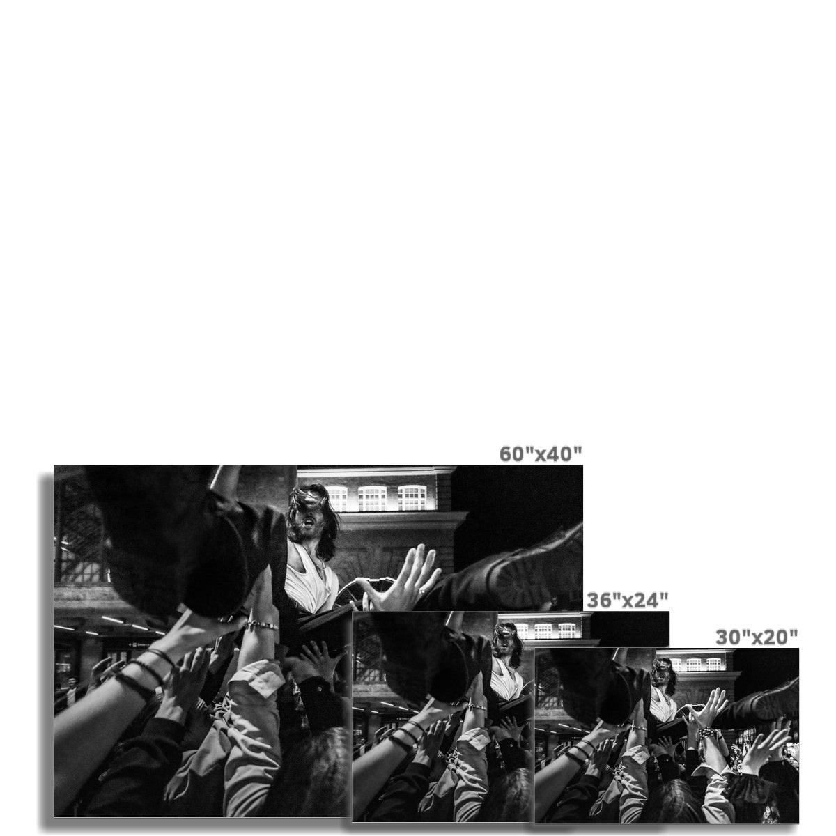 The Gulls Fine Art Print