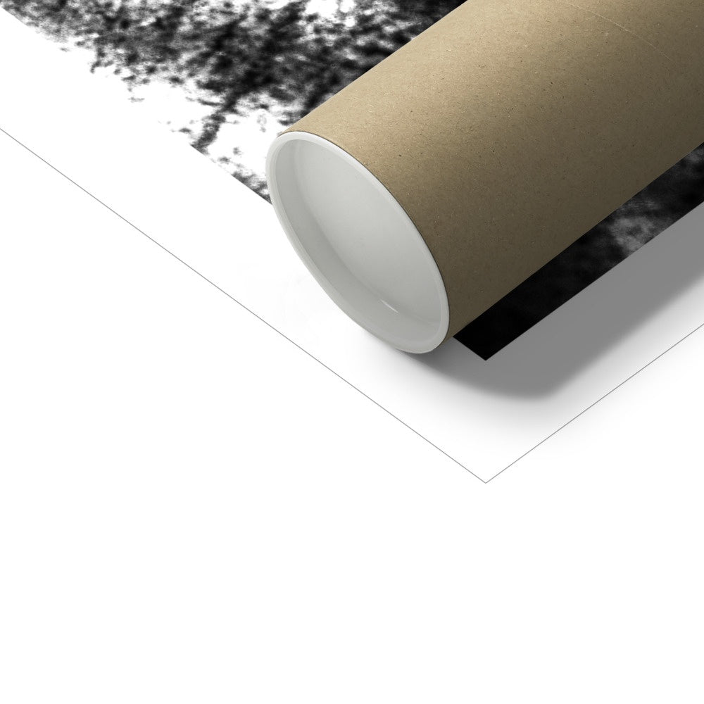 Rosewood —  Hahnemühle Photo Rag Print