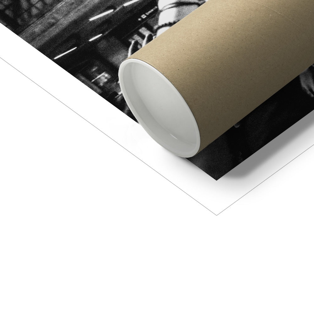 The Gulls Fine Art Print