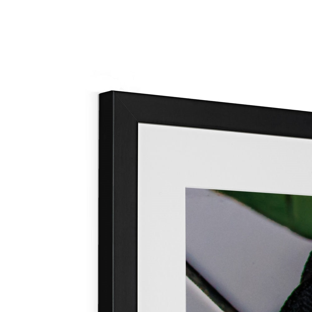 Barbican —  Framed & Mounted Print